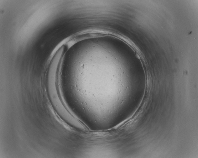 X0000076420862200610271706