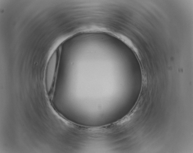 X0000076420863200610271706