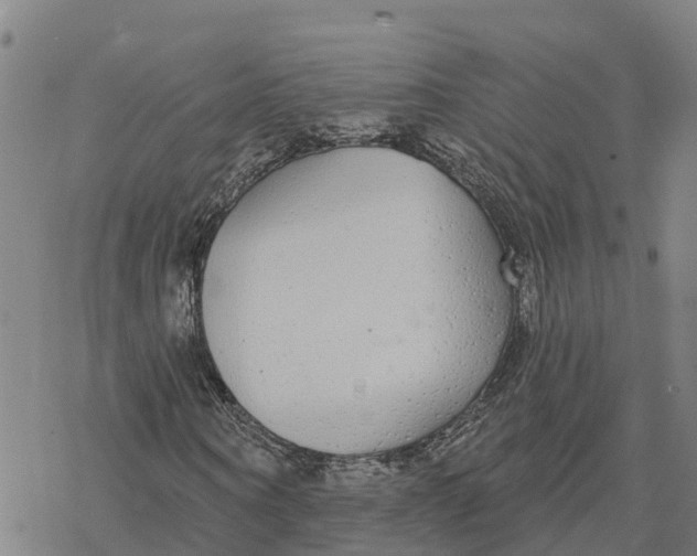 X0000076420866200610271705