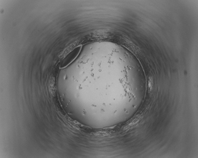 X0000076420867200610271705