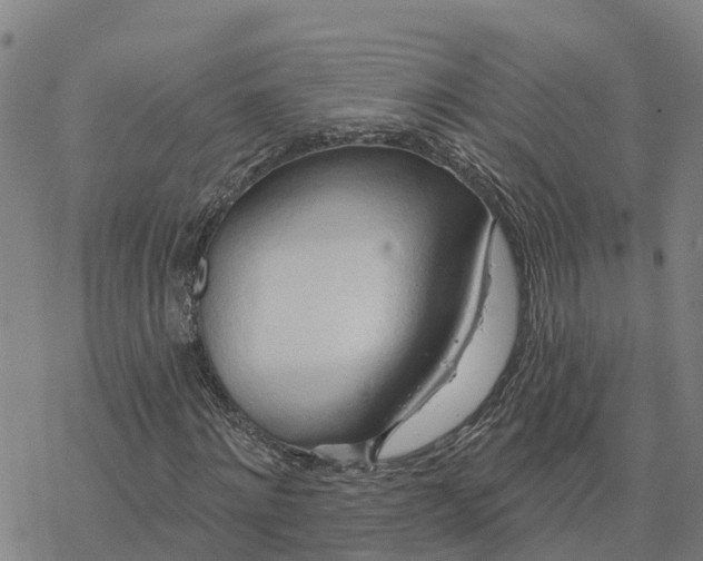 X0000076420868200610271705