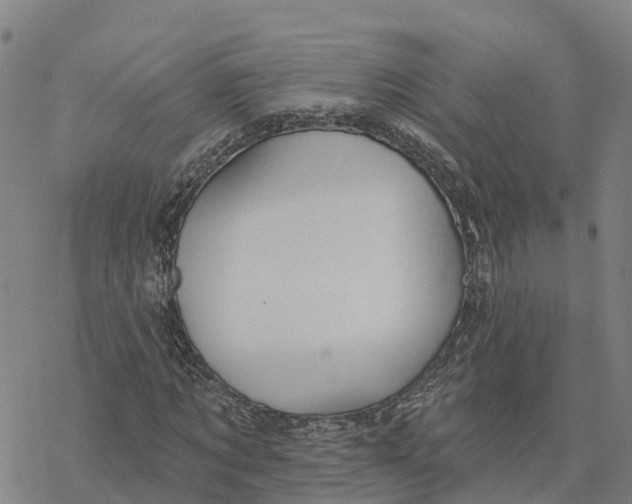 X0000076420869200610271705