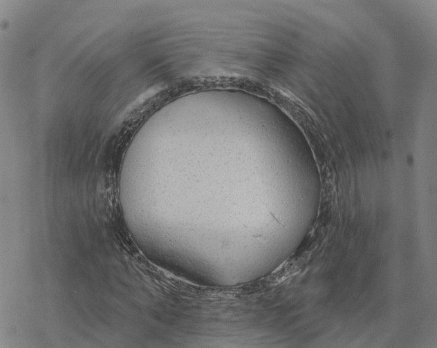 X0000076420870200610271705