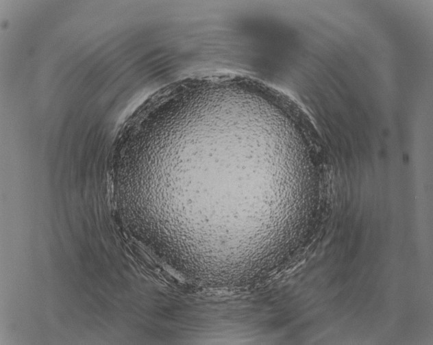 X0000076420871200610271705