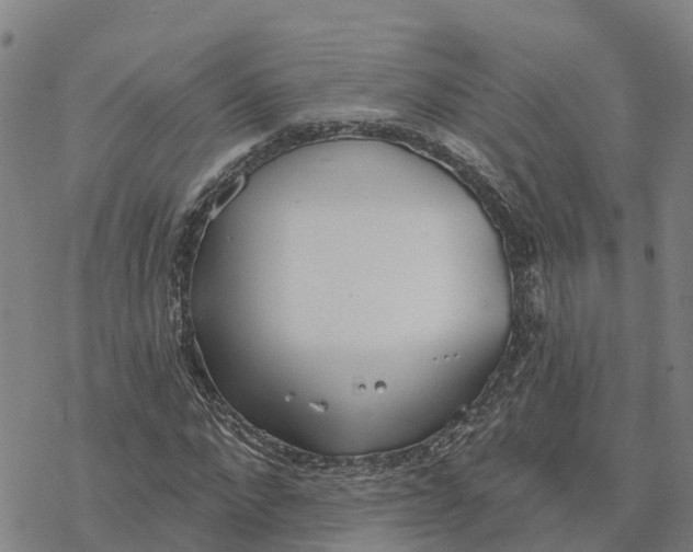 X0000076420872200610271705