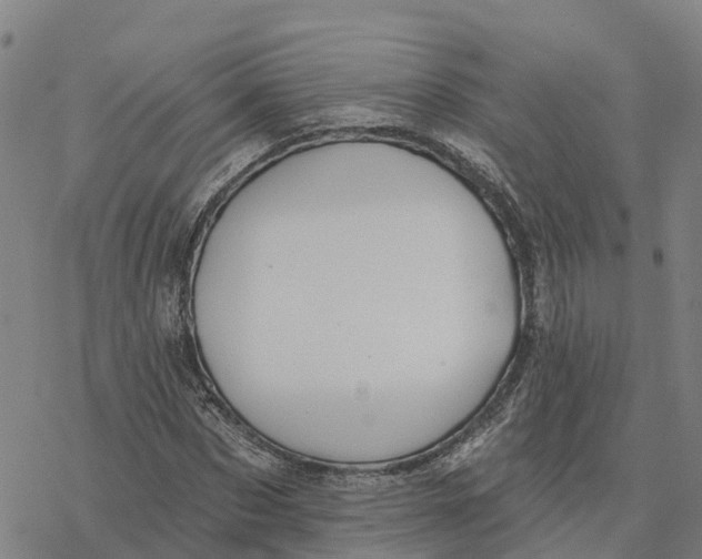 X0000076420873200610271705