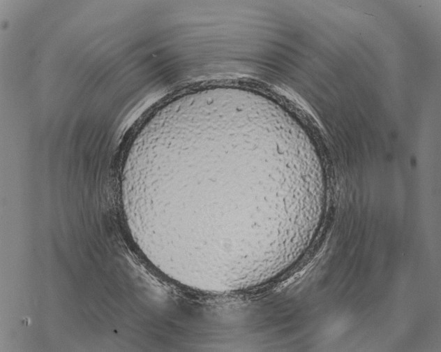 X0000076420874200610271705