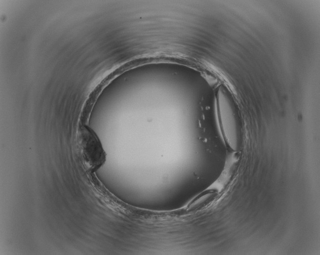 X0000076420876200610271705