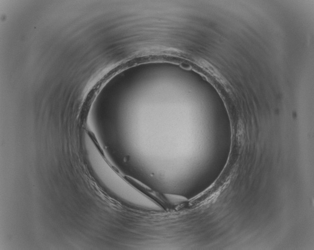 X0000076420877200610271705