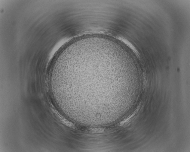 X0000076420878200610271705