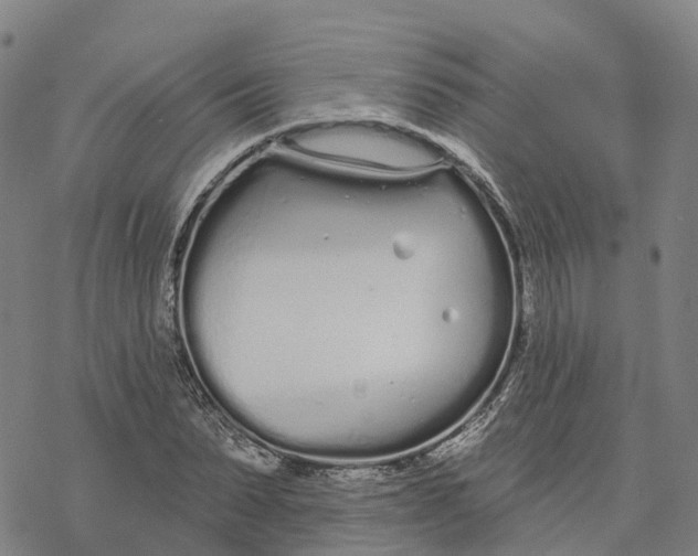 X0000076420879200610271705