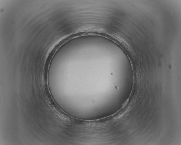 X0000076420880200610271705