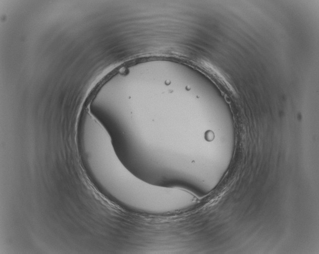 X0000076420884200610271705