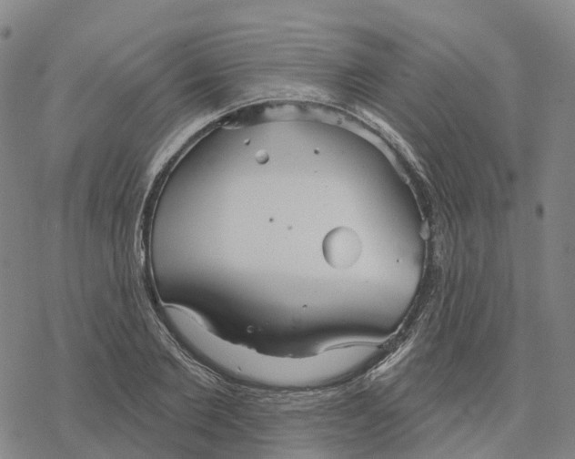 X0000076420885200610271705