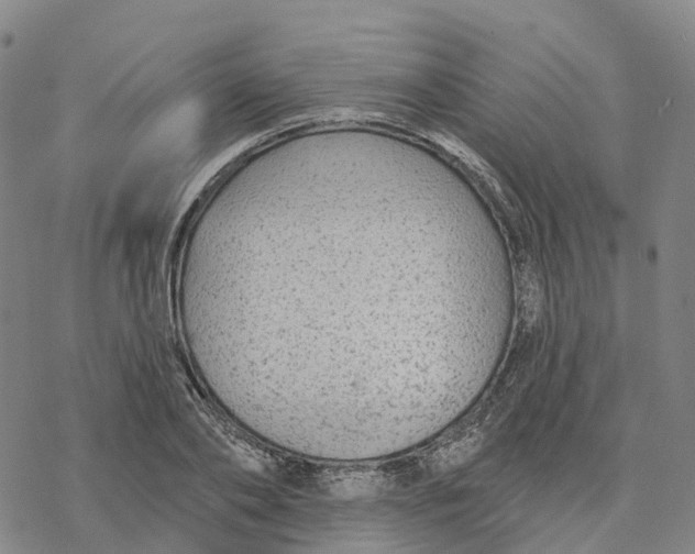 X0000076420886200610271705