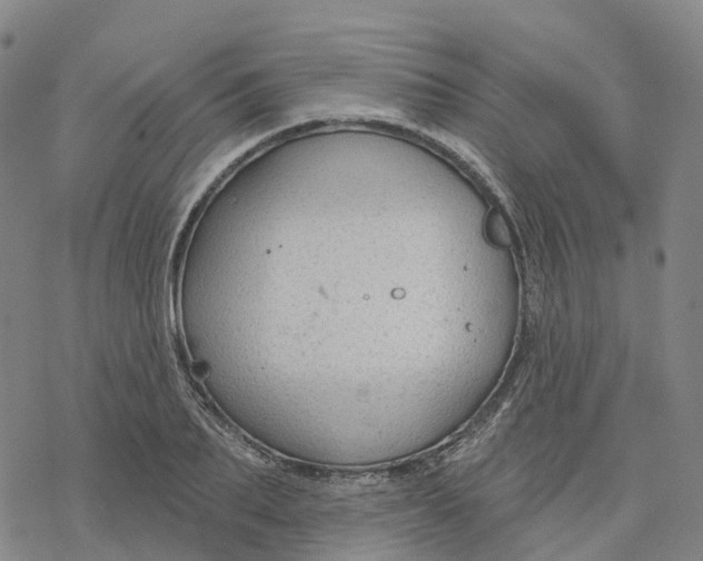 X0000076420887200610271705