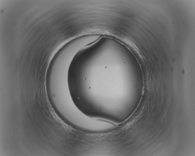 X0000076420888200610271705