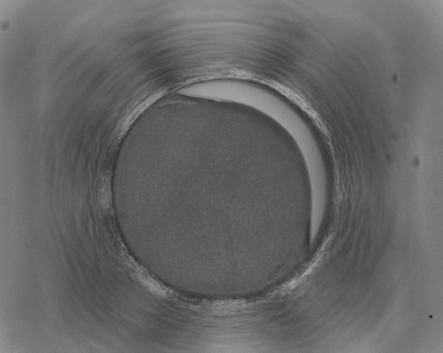 X0000076420889200610271705