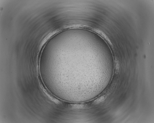 X0000076420890200610271705