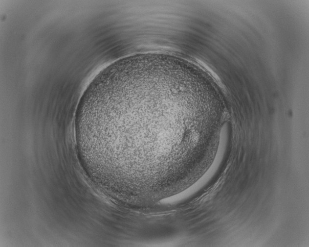 X0000076420891200610271705