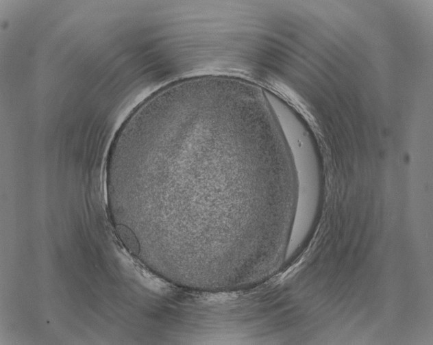 X0000076420892200610271705