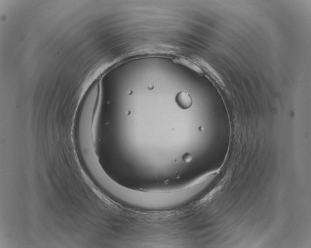 X0000076420893200610271705