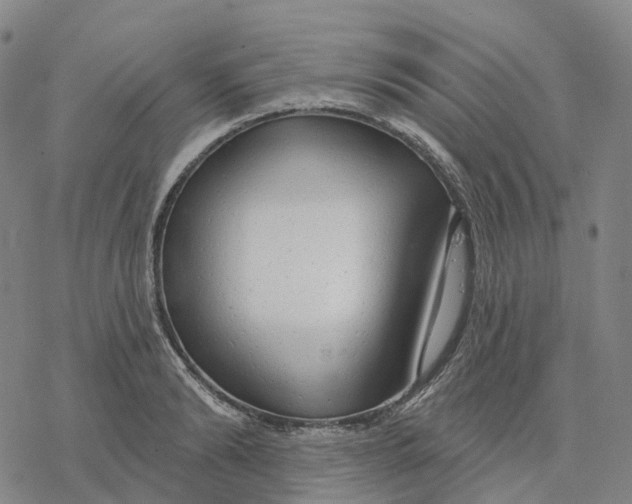 X0000076420894200610271705