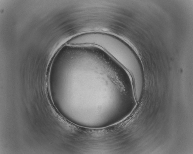 X0000076420895200610271705