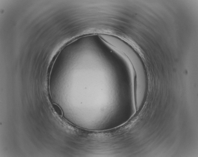 X0000076420896200610271705