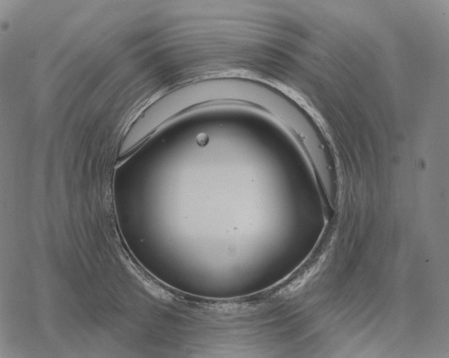 X0000076420897200610271705