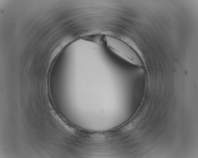 X0000076420898200610271705