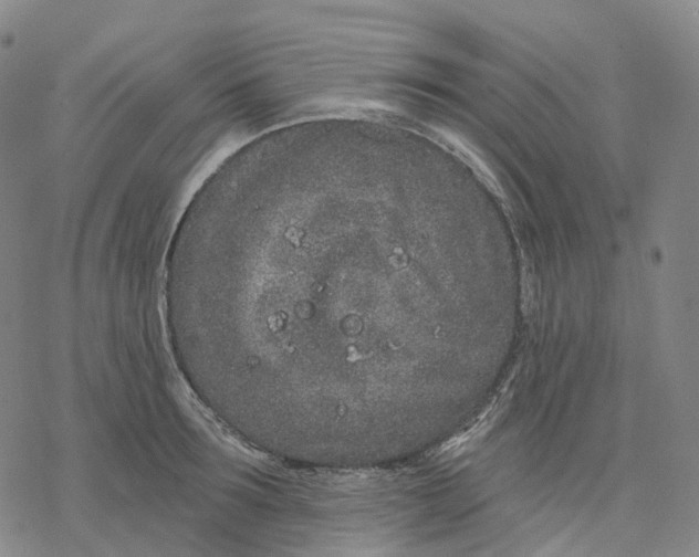 X0000076420899200610271705