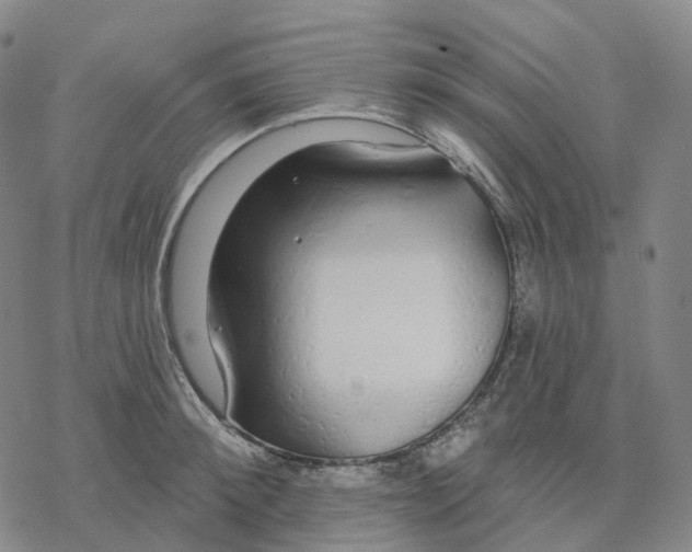 X0000076420900200610271705