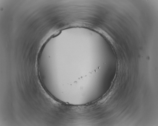 X0000076420902200610271705