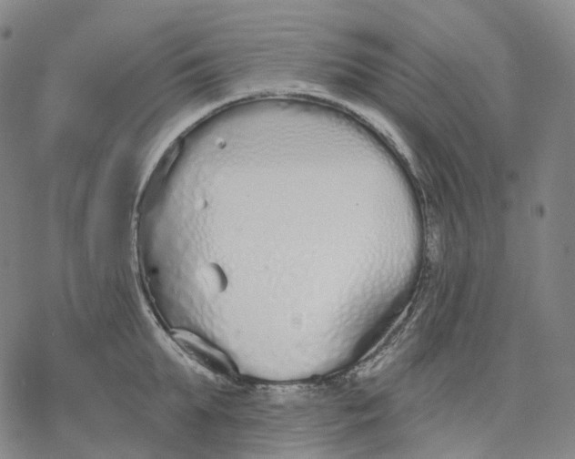 X0000076420903200610271705