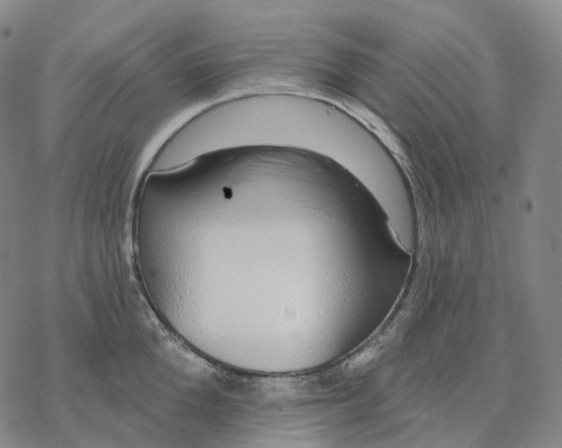 X0000076420904200610271705