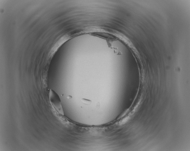 X0000076420905200610271705