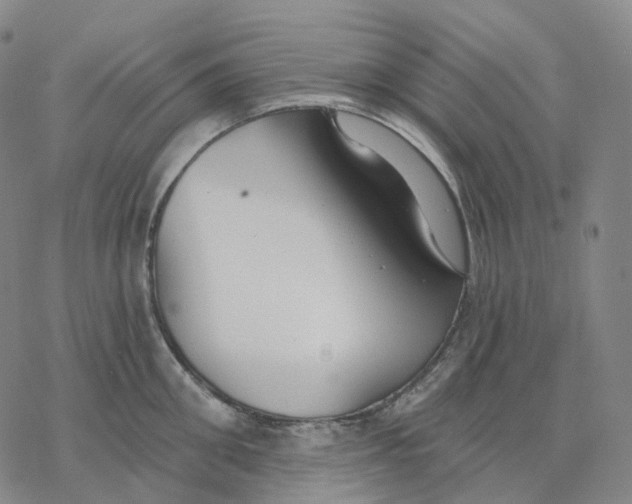 X0000076420906200610271705