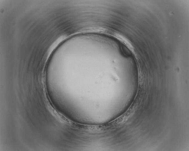 X0000076420907200610271705