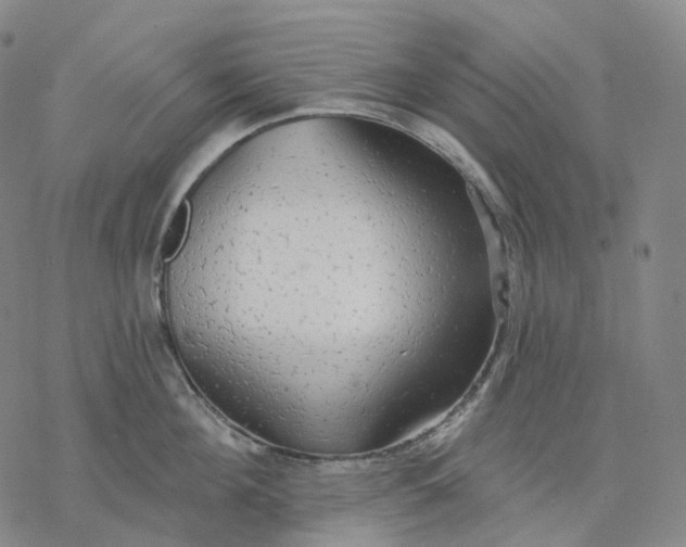 X0000076420908200610271705