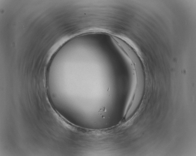 X0000076420910200610271705