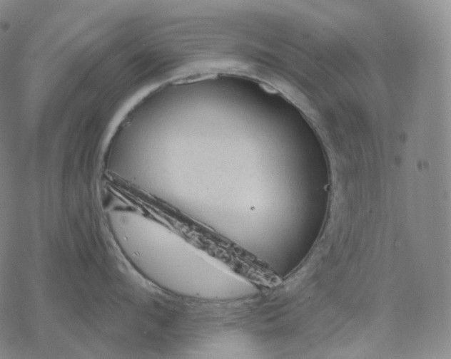 X0000076420912200610271705