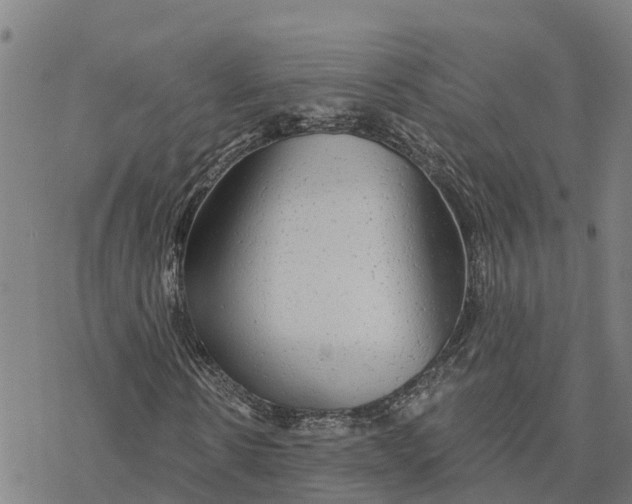 X0000076420914200610271704