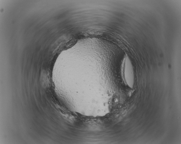 X0000076420915200610271704