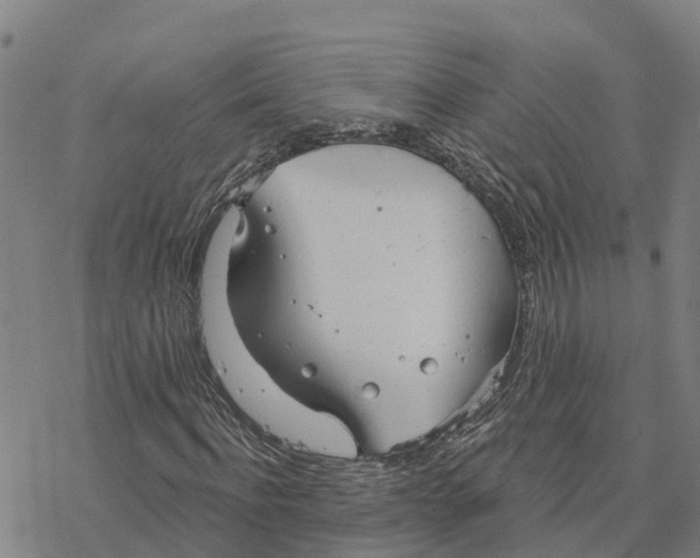 X0000076420916200610271704