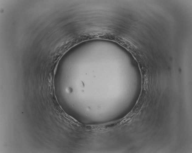 X0000076420917200610271704