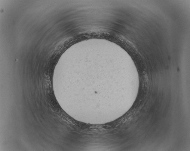 X0000076420918200610271704