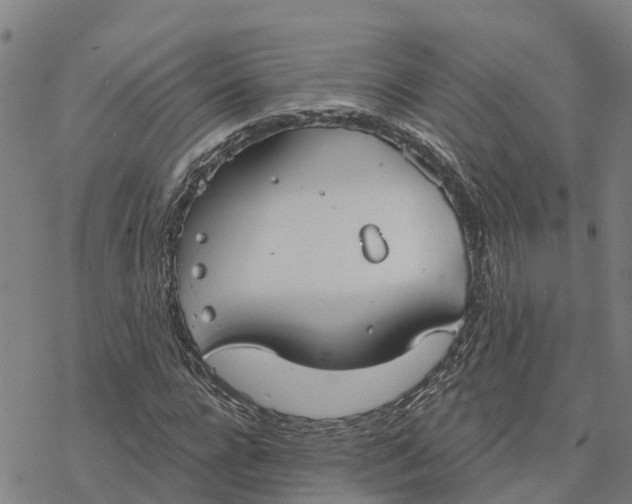 X0000076420920200610271704