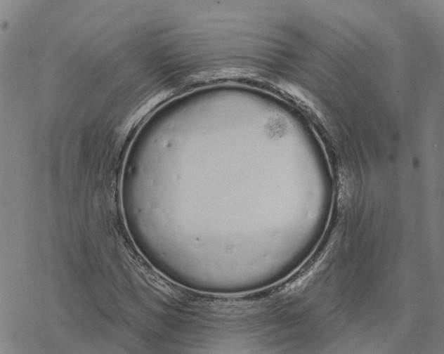 X0000076420921200610271704