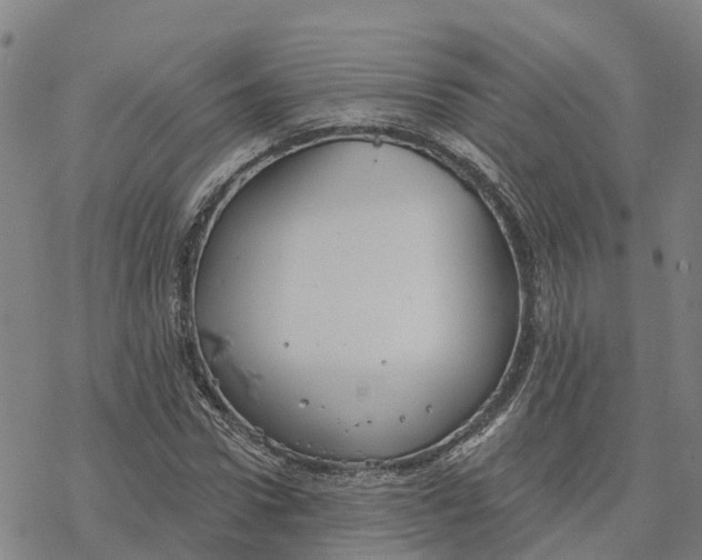 X0000076420922200610271704